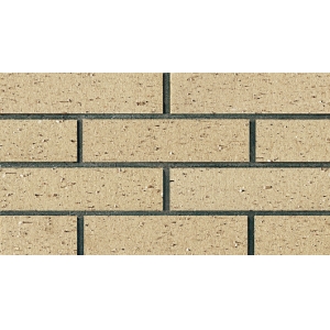 Environmental Friendly Clay Thin Brick