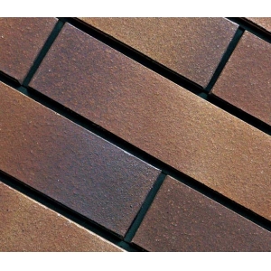Terracotta Extrusion Rusty Standard Wall Tiles